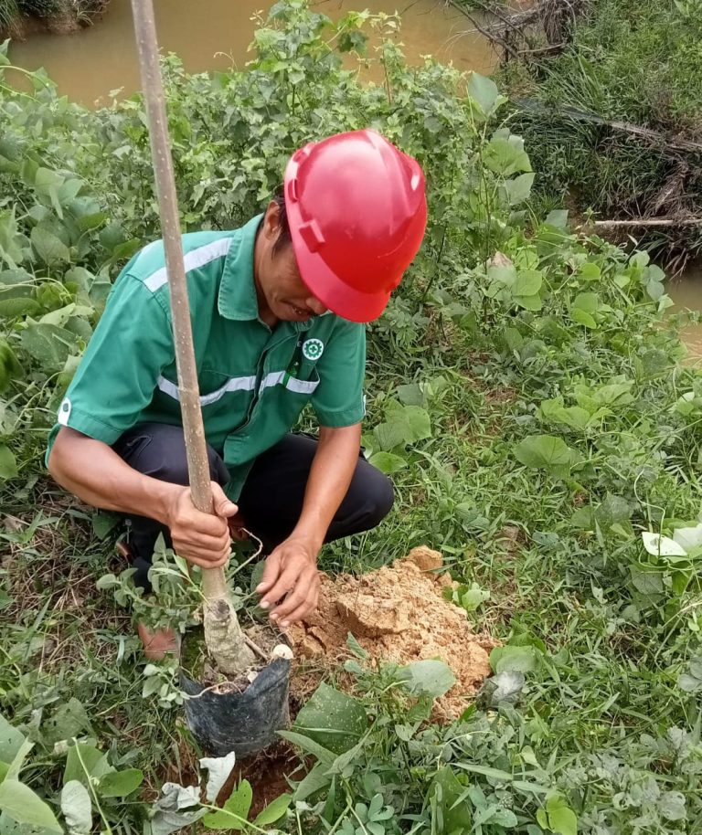 PT EDI Gelar Program Rehabilitasi di Sempadan Sungai Manding